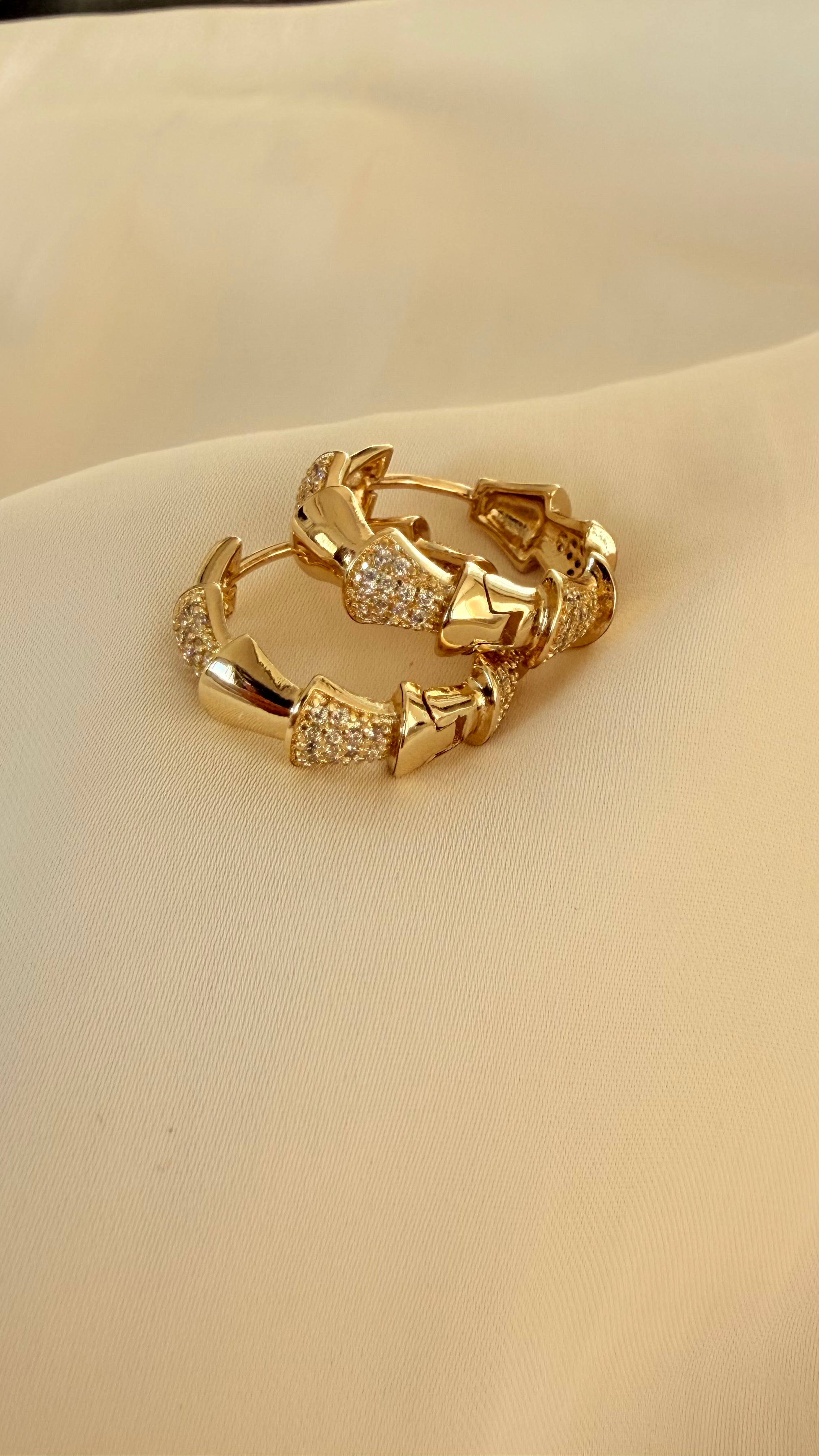 Liora Hoop Earrings
